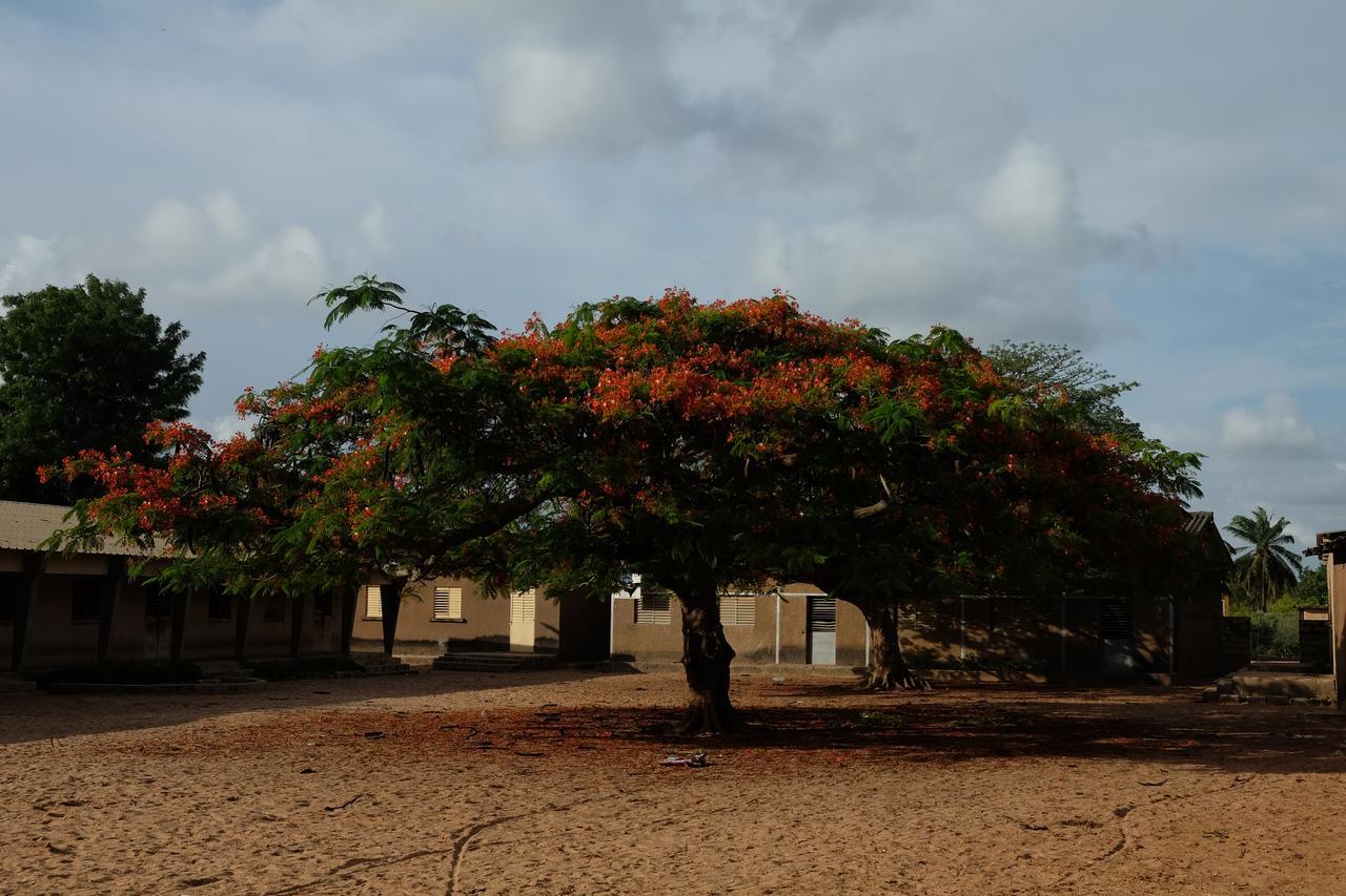 Gasthaus Centre Touristique Et Culturel Casamance Diakene Ouolof Exterior foto