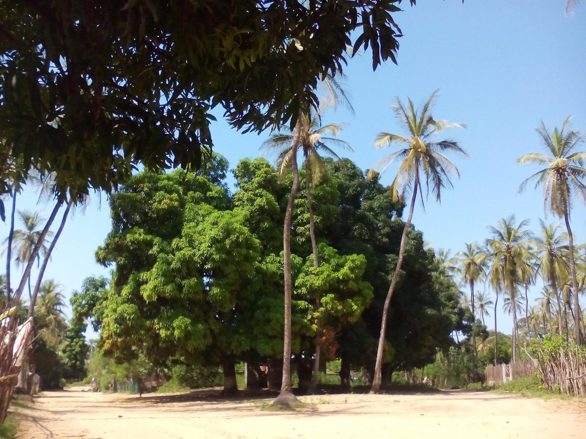 Gasthaus Centre Touristique Et Culturel Casamance Diakene Ouolof Exterior foto