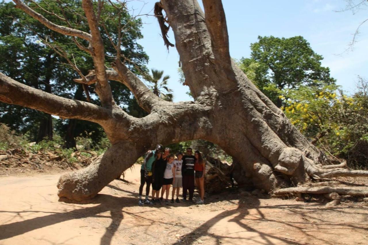 Gasthaus Centre Touristique Et Culturel Casamance Diakene Ouolof Exterior foto